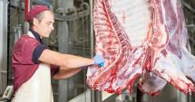Stire din Economie : Mai puţine animale sacrificate în luna iulie
