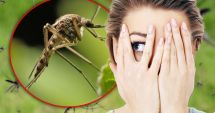 Remedii la îndemâna oricui pentru ameliorarea ciupiturilor de insecte