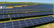 Stire din Eveniment : Înșelătorie de peste 17 milioane de dolari. Doi administratori promiteau parcuri fotovoltaice în toată țara