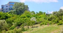 Stire din Social : În sfârșit! A fost curățată "jungla" de la Plaja Modern