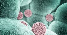 Stire din Social : INSP: În România, 13,7% din cancerele diagnosticate sunt asociate infecţiei cu HPV