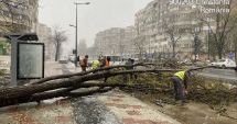 Stire din Social : GALERIE FOTO Oficial Primăria Constanța: Efectele dezastruoase lăsate în urmă de vântul puternic