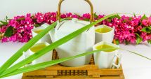 Stire din Sănătate : Infuzii din plante care ajută la sănătatea intestinelor