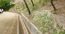 Stire din Social : IMAGINI ÎNFRICOȘĂTOARE LA CONSTANȚA. "În viața mea nu am văzut așa ceva"