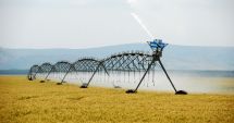 Stire din Economie : Irigațiile – prioritatea numărul unu a Ministerului Agriculturii