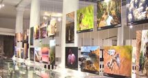 Stire din Actualitate : Frumusețile naturale din Israel, aduse la București într-o expoziție fotografică