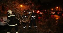 Stire din Social : Codul galben a făcut ravagii. Panouri luate de vânt pe A2. Copaci căzuți și mașini avariate