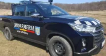 Stire din Eveniment : Intervenție a jandarmilor după ce un urs speriat de un autoturism a pătruns într-o curte