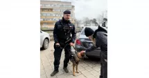 Stire din Eveniment : Peste 150 de misiuni ale jandarmilor constănțeni în prima parte a lunii martie. Amenzile au depășit 61.000 de lei