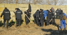 Stire din Eveniment : Zeci de jandarmi constănțeni au plantat puieți în fața sediului unității