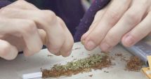 Stire din Eveniment : Sute de consumatori de droguri surprinși de jandarmi, în 2019, pe străzile Constanței