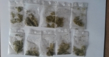 Stire din Eveniment : Jandarmii  le-au stricat "distracția"  cu cannabis  și etnobotanice