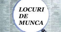 Stire din Social : Vrei să te angajezi? Sute de locuri de muncă sunt vacante la Constanța