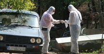 Stire din Eveniment : Detalii terifiante din culisele crimei de la Corbu. „În momentele acelea, ucigașii lovesc până obosesc!”