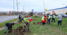 Stire din Social : Fără taxă de întreţinere a spaţiilor verzi! „Am vrut să luăm îngrijirea lor din cârca asociaţiilor de proprietari!”