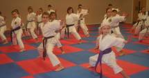 Stire din Sport : Karate: "EDUCAȚIA MARȚIALĂ - DRUMUL SPRE CUNOAȘTERE!"