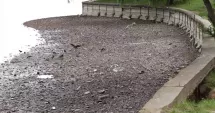 Stire din Actualitate : Lacul Herăstrău, golit pentru lucrări. Ce obiecte au fost găsite pe fundul apei