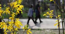 Stire din Social : Cum va fi vremea până la Paște, la Constanța