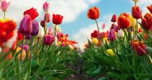 Stire din Social : Prognoza meteo în intervalul 4 martie – 1 aprilie. Nu scăpăm de ploi, dar temperaturile cresc