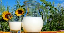 Laptele din semințe de floarea soarelui are o putere antioxidantă ridicată