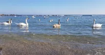 Stire din Actualitate : Vreme mai caldă decât normalul perioadei în Dobrogea și pe litoral