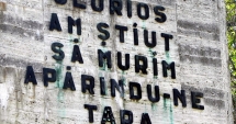 Stire din Cultură-Educație : Lecție despre istoria comună româno-sârbă