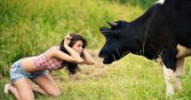 Stire din Fun : Legile naturii, gândite perfect