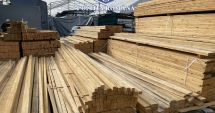 Stire din Eveniment : Cantități de lemn nejustificate, descoperite în depozitele a două societăți comerciale