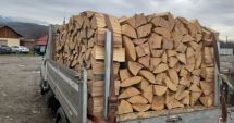 Ajutor de la stat pentru fiecare metru cub de lemne de foc. Ce condiţii trebuie să îndeplinească românii