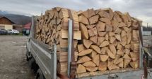 Stire din Economie : Ajutor de la stat pentru fiecare metru cub de lemne de foc. Ce condiţii trebuie să îndeplinească românii