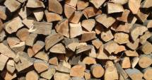 Primăria Constanța. Începe plata ajutoarelor pentru încălzirea cu lemne