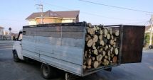 Stire din Eveniment : Captură făcută de jandarmi: un transport ilegal de lemne
