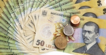 Stire din Economie : Leul își revine din pumnii crizei politice