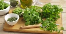 Stire din Sănătate : Leușteanul poate fi folosit pentru calmarea durerilor abdominale