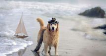 Liber cu câinii pe nisip! A fost promulgată legea care permite accesul animalelor de companie pe plajă