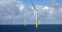 Licitaţia pentru amenajarea turbinelor eoliene din Marea Neagră a fost anulată