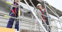 Stire din Economie : De la școli, la câini fără stăpân! Bătălie aprigă pentru contractele din bani publici, la Constanța