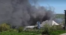 Stire din Eveniment : Singurul ligru din România a murit într-un incendiu devastator la o grădină zoologică improvizată