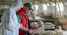 Stire din Social : Oportunități de angajare în Europa! Sunt disponibile 292 de locuri de muncă