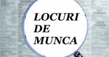 Stire din Social : Peste 26.000 locuri de muncă vacante. Iată ce se caută!