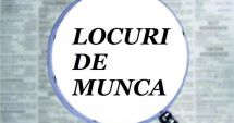 Stire din Social : Locuri de muncă vacante pentru șomeri