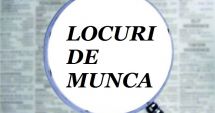 Stire din Social : Mii de locuri de muncă vacante. Șomeri, iată ce se caută!