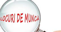 Stire din Eveniment : Șomeri, iată ce locuri de muncă se mai caută!
