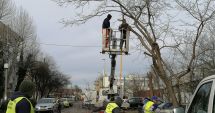 Stire din Social : Continuă lucrările de toaletare a arborilor din Constanța