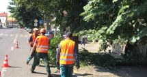 Stire din Politică-Administrație : Lucrările edilitare, pe lista administrației locale din Constanța