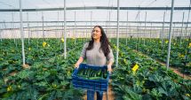 Stire din Social : Lucrătorii în agricultură, la mare căutare, în Spațiul European