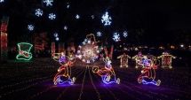 Stire din Actualitate : Festivalul luminițelor de Crăciun a revenit la Chicago
