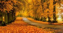 Stire din Social : Val de aer cald peste România! Ce spun meteorologii despre vremea din perioada următoare