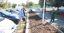 Stire din Politică-Administrație : Campanie de plantare a copacilor în Mangalia