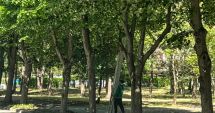 Stire din Politică-Administrație : Administraţia locală din Mangalia menţine localitatea în topul oraşelor verzi